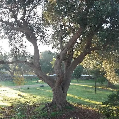 Sol Invictus Est Holiday home