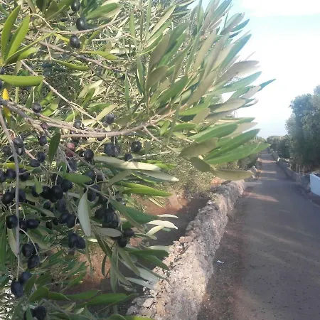 Sol Invictus Est بيت للعطل *