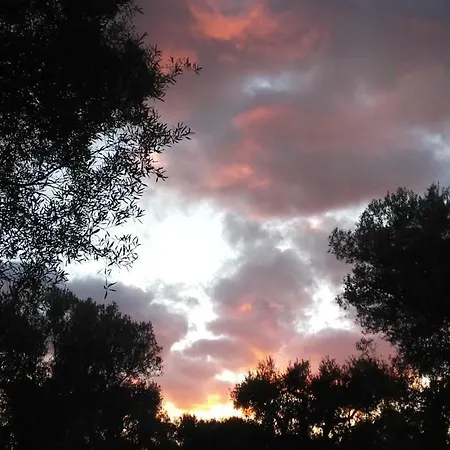 Sol Invictus Est Serranova